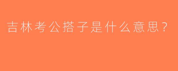 吉林考公搭子是什么意思？  