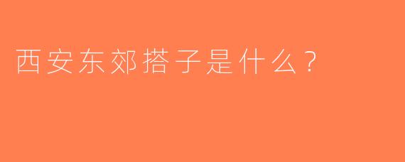 西安东郊搭子是什么？  