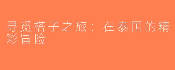 寻觅搭子之旅：在泰国的精彩冒险
