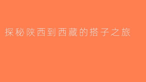 探秘陕西到西藏的搭子之旅