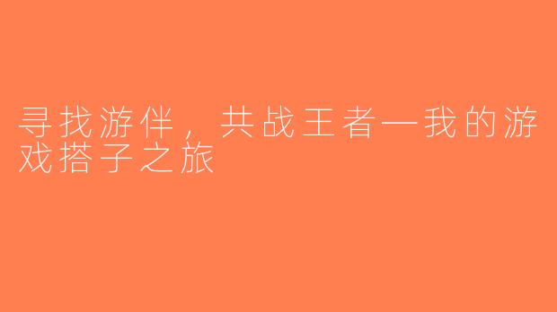 寻找游伴，共战王者—我的游戏搭子之旅