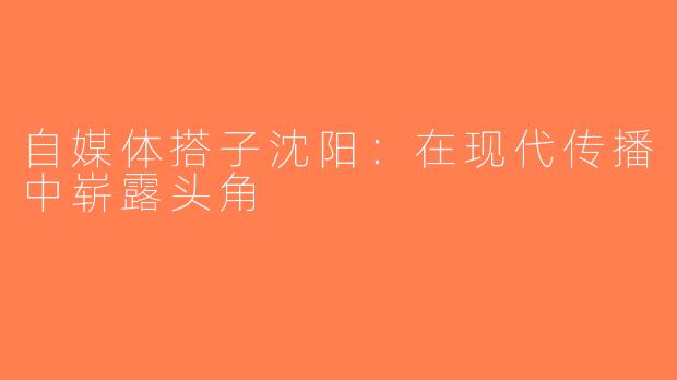 自媒体搭子沈阳：在现代传播中崭露头角