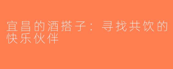 宜昌的酒搭子：寻找共饮的快乐伙伴