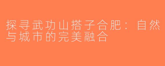 探寻武功山搭子合肥：自然与城市的完美融合