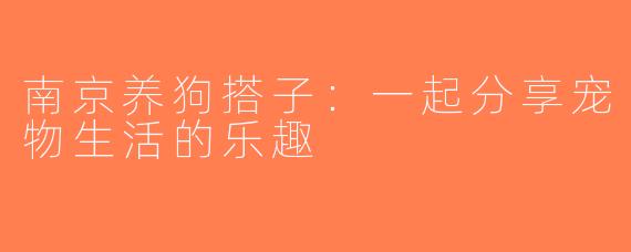 南京养狗搭子：一起分享宠物生活的乐趣