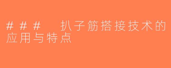 ### 扒子筋搭接技术的应用与特点
