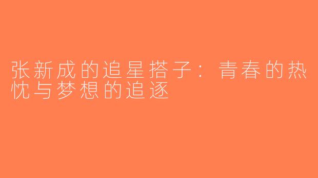 张新成的追星搭子：青春的热忱与梦想的追逐