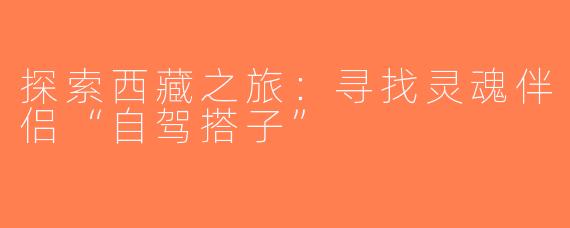 探索西藏之旅：寻找灵魂伴侣“自驾搭子”