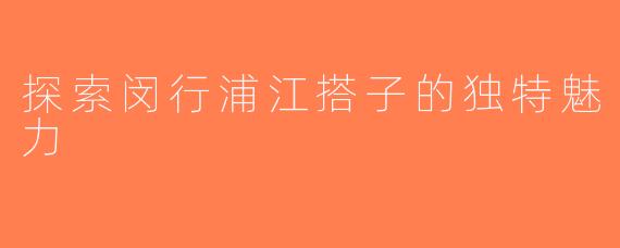 探索闵行浦江搭子的独特魅力