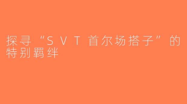 探寻“SVT首尔场搭子”的特别羁绊
