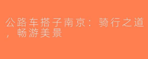 公路车搭子南京：骑行之道，畅游美景