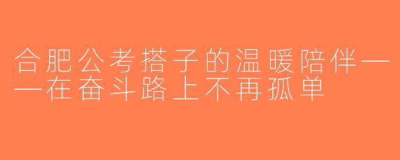合肥公考搭子的温暖陪伴——在奋斗路上不再孤单