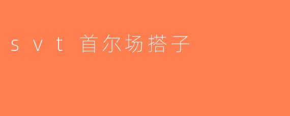 svt首尔场搭子