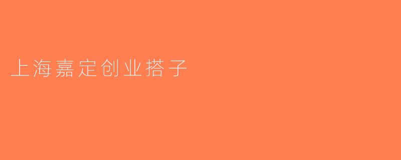 上海嘉定创业搭子