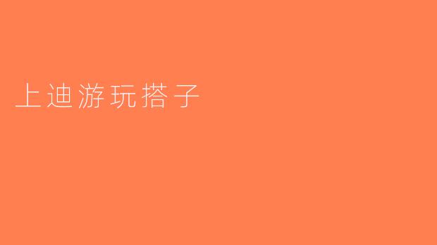 上迪游玩搭子