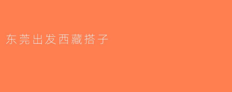 东莞出发西藏搭子