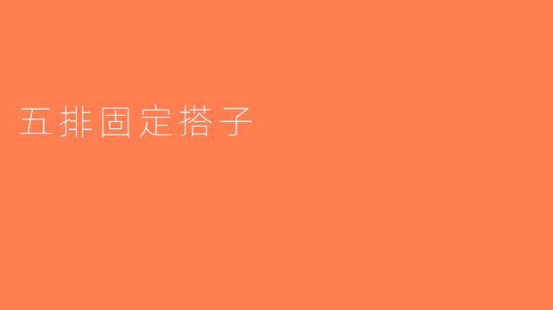 五排固定搭子