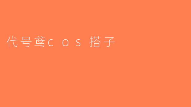代号鸢cos搭子