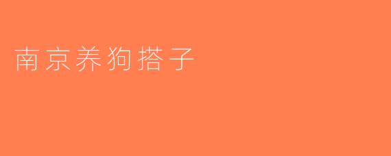 南京养狗搭子