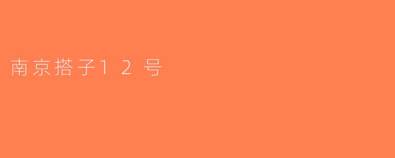 南京搭子12号