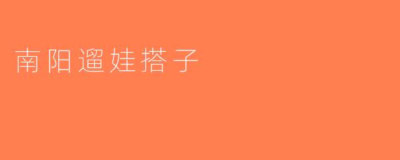 南阳遛娃搭子