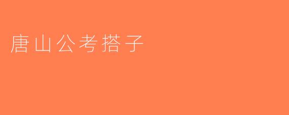 唐山公考搭子