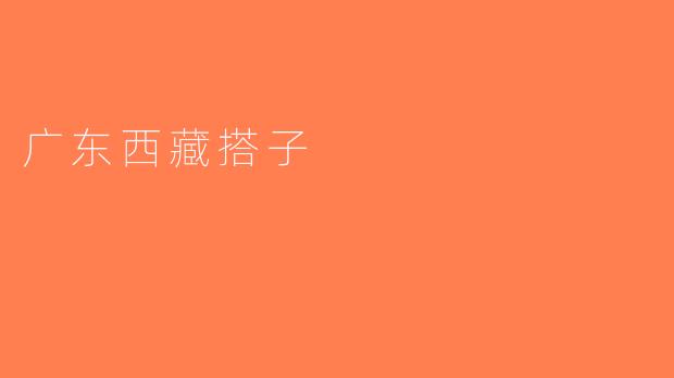 广东西藏搭子