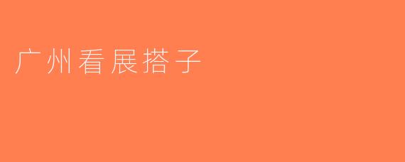 广州看展搭子