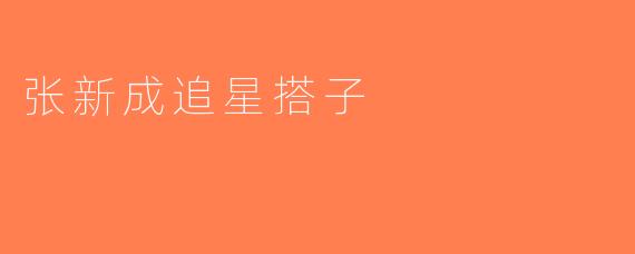 张新成追星搭子