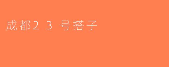 成都23号搭子