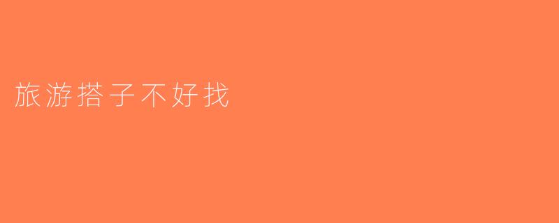 旅游搭子不好找