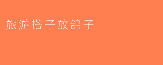 旅游搭子放鸽子