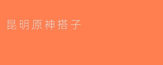 昆明原神搭子