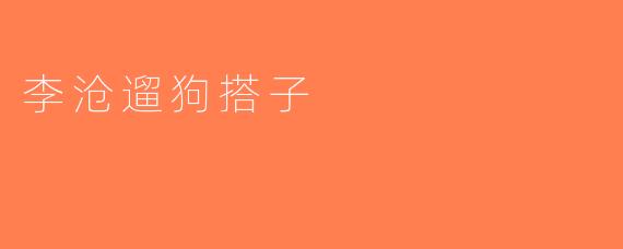 李沧遛狗搭子