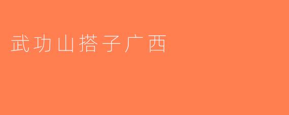 武功山搭子广西