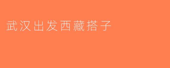 武汉出发西藏搭子