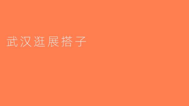 武汉逛展搭子