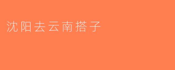 沈阳去云南搭子