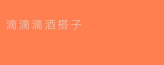 滴滴滴酒搭子