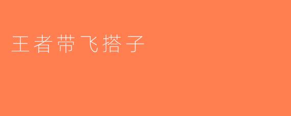 王者带飞搭子