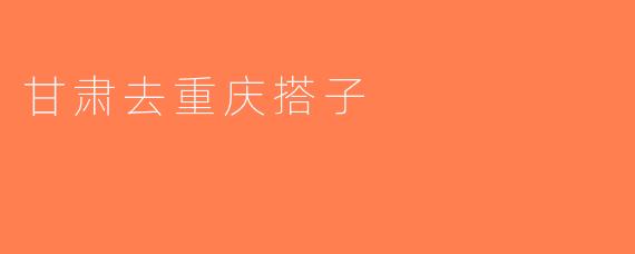 甘肃去重庆搭子
