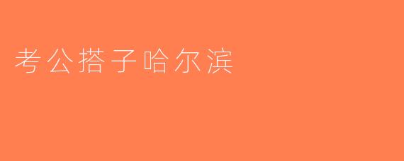 考公搭子哈尔滨