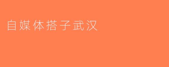 自媒体搭子武汉