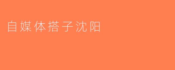 自媒体搭子沈阳