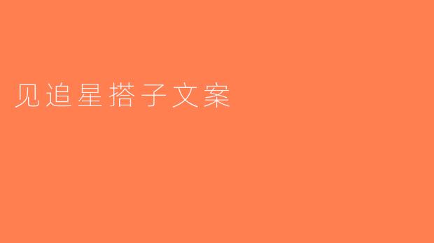 见追星搭子文案