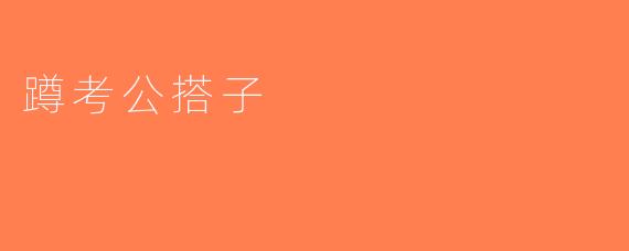 蹲考公搭子