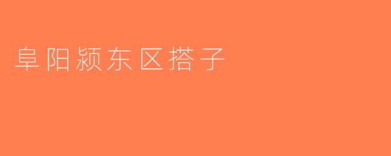阜阳颍东区搭子