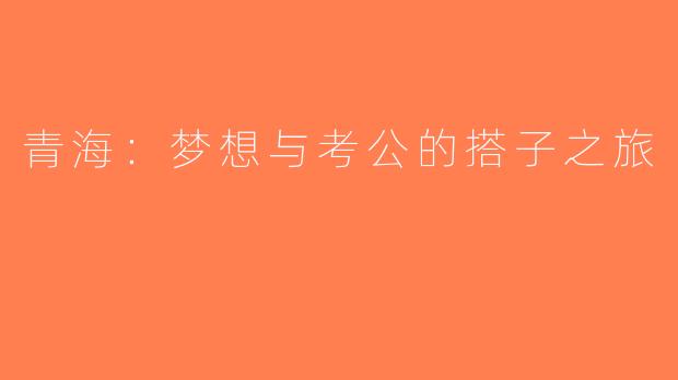 青海：梦想与考公的搭子之旅
