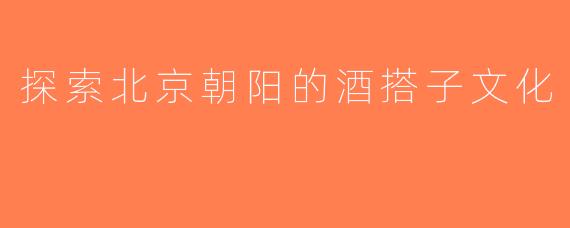 探索北京朝阳的酒搭子文化