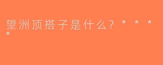 望洲顶搭子是什么?****